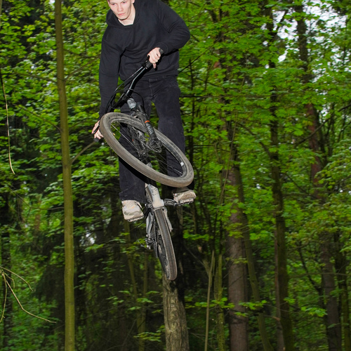 Photo #13803806