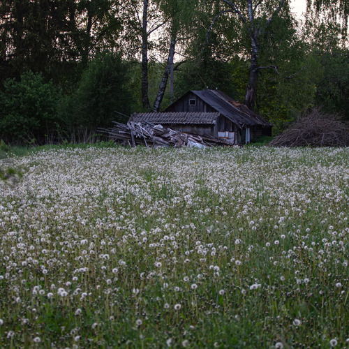 Photo #13803850