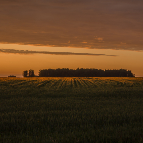 Photo #13804067