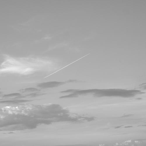 Photo #13804469