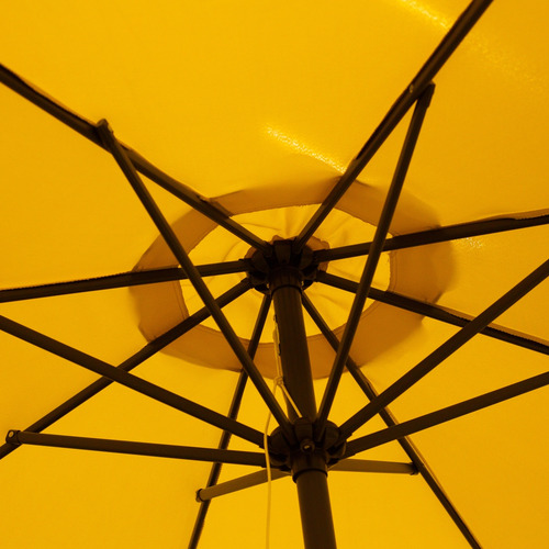 Photo #13804535