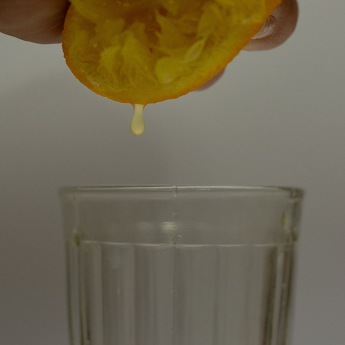 Photo #13804536