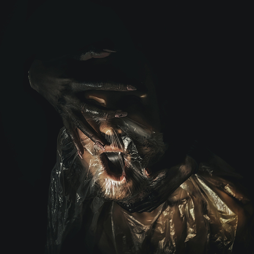 Photo #13804544
