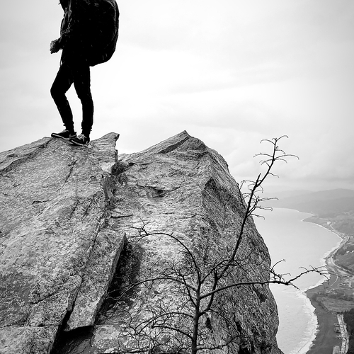 Photo #13804547