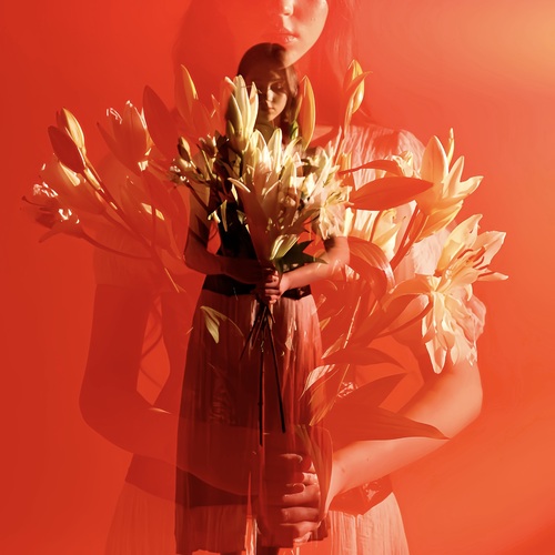 Photo #13804630