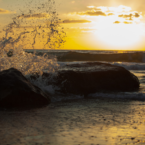 Photo #13804645