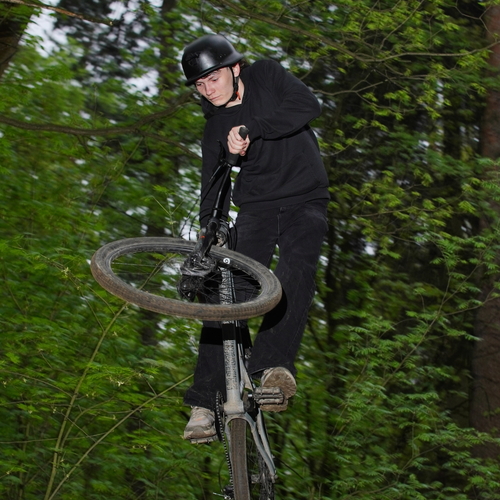 Photo #13804655
