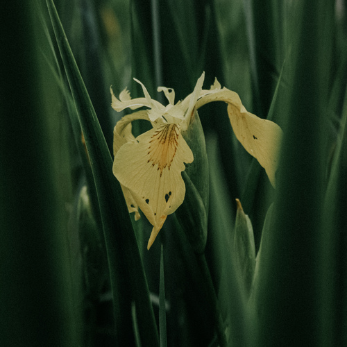 Photo #13804739