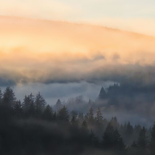 Photo #13804816