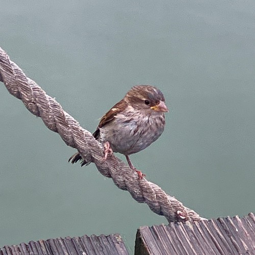 Photo #13804852
