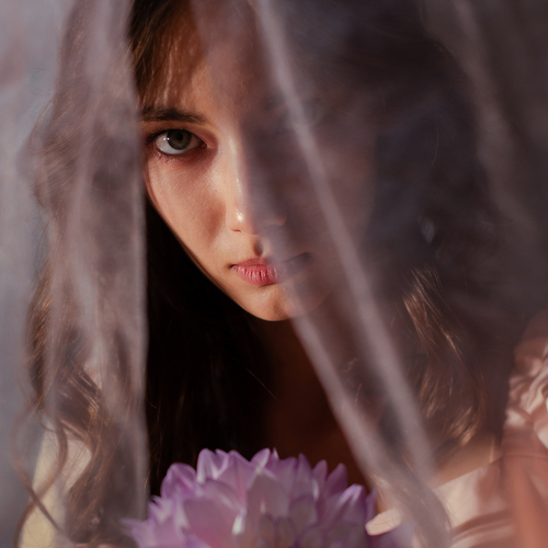 Bloom Rebellion