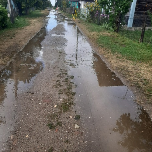 Photo #13804869