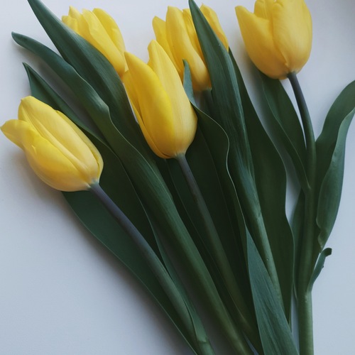 Photo #13804875