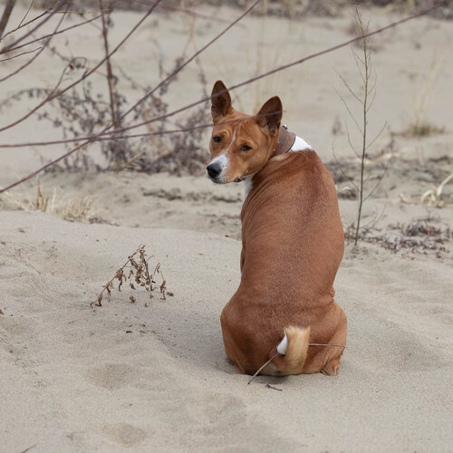Photo #13804926