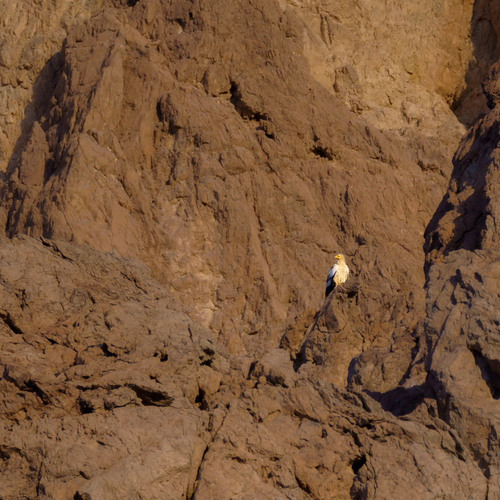 Photo #13804979