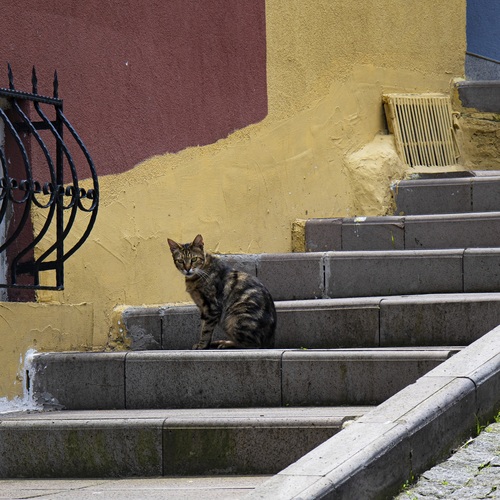 Photo #13805048