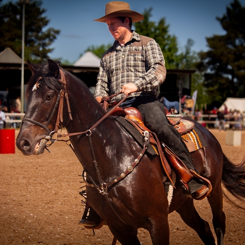 Photo #13805061