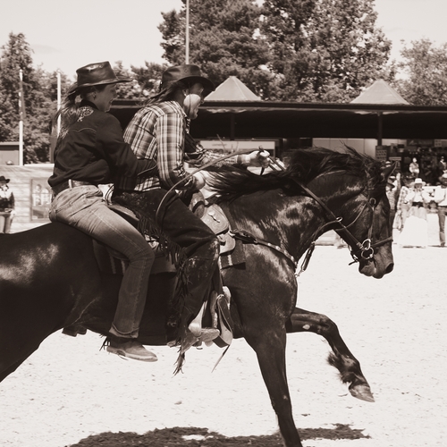 Photo #13805062