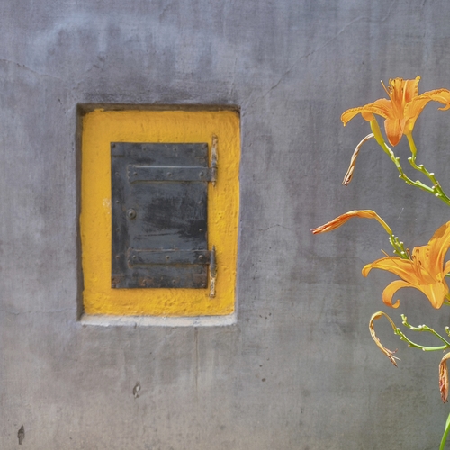 Photo #13805193