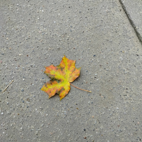 Photo #13805227