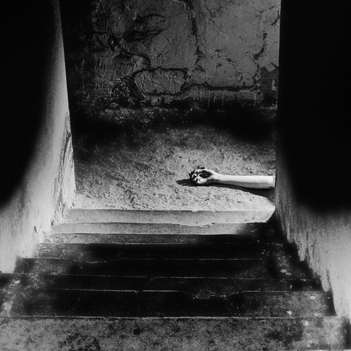 Photo #13805316