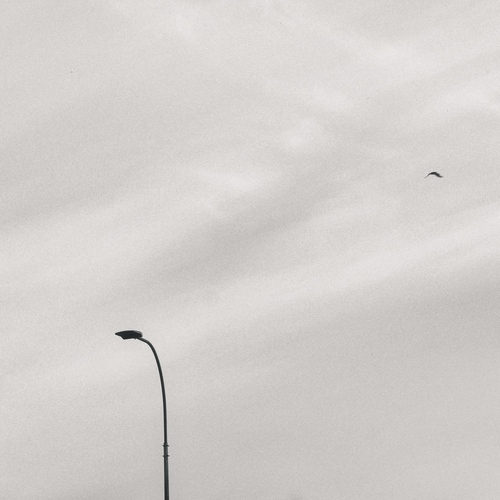 Photo #13805392