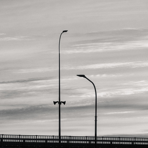 Photo #13805398