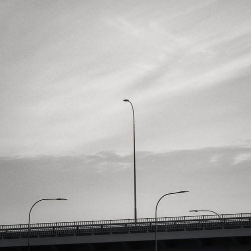 Photo #13805403