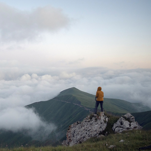 Photo #13805472