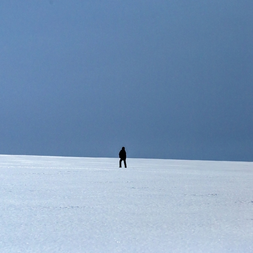 Photo #13805479