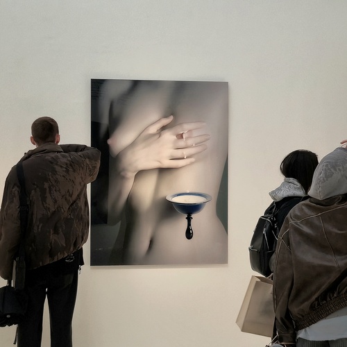Photo #13805507