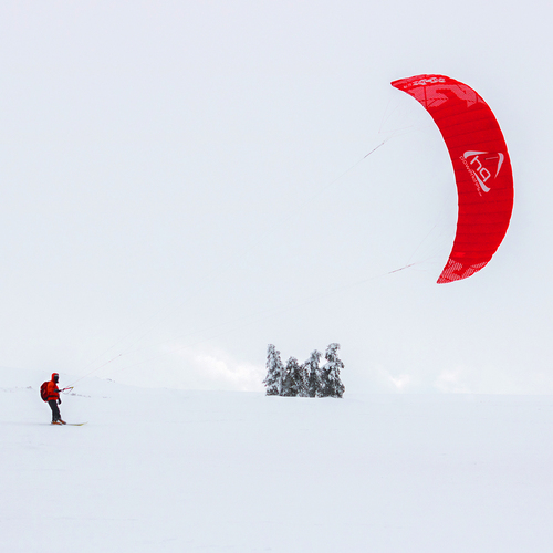 Photo #13805652