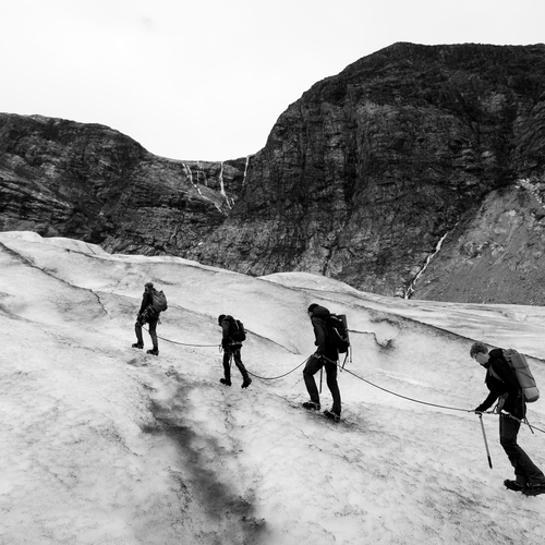 Photo #13805663