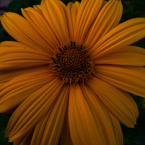 Photo #13805694