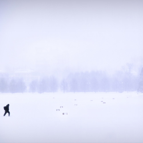 Photo #13805731