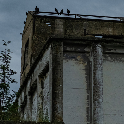 Photo #13805827