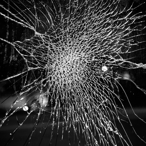 Photo #13805836