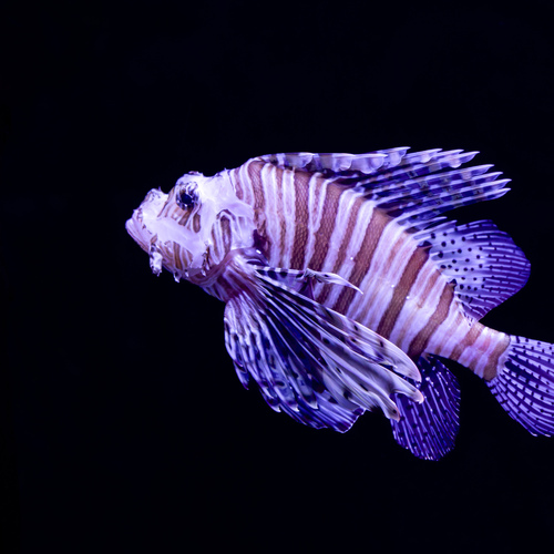 Photo #13805888