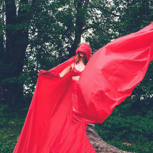 Photo #13805898