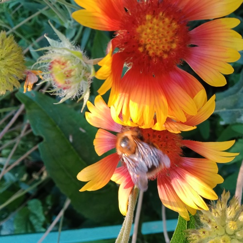 Photo #13805934