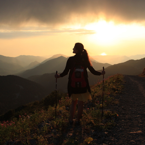 Photo #13805964