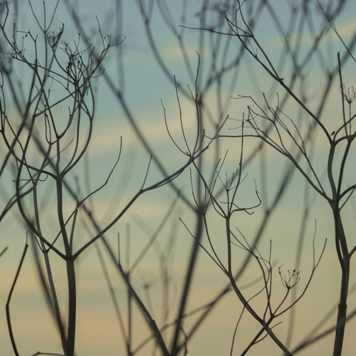 Photo #13806094