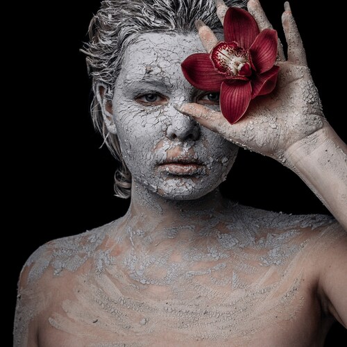 Photo #13806105