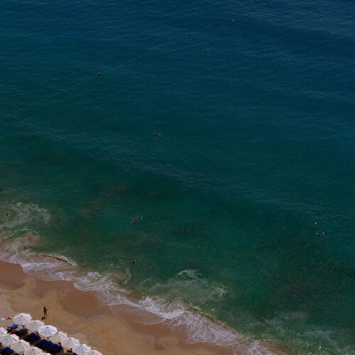 Photo #13806118