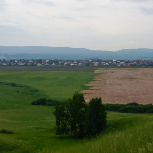Photo #13806180
