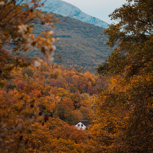 Photo #13806262