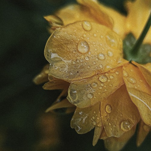 Photo #13806363