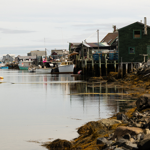 Photo #13806446