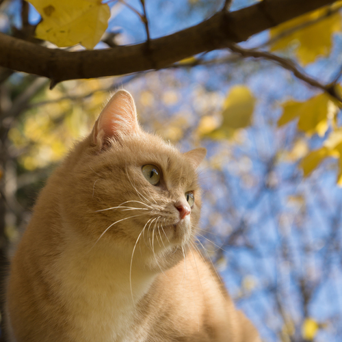 Photo #13806449