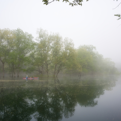 Photo #13806531